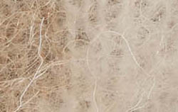 beige marble jacquard