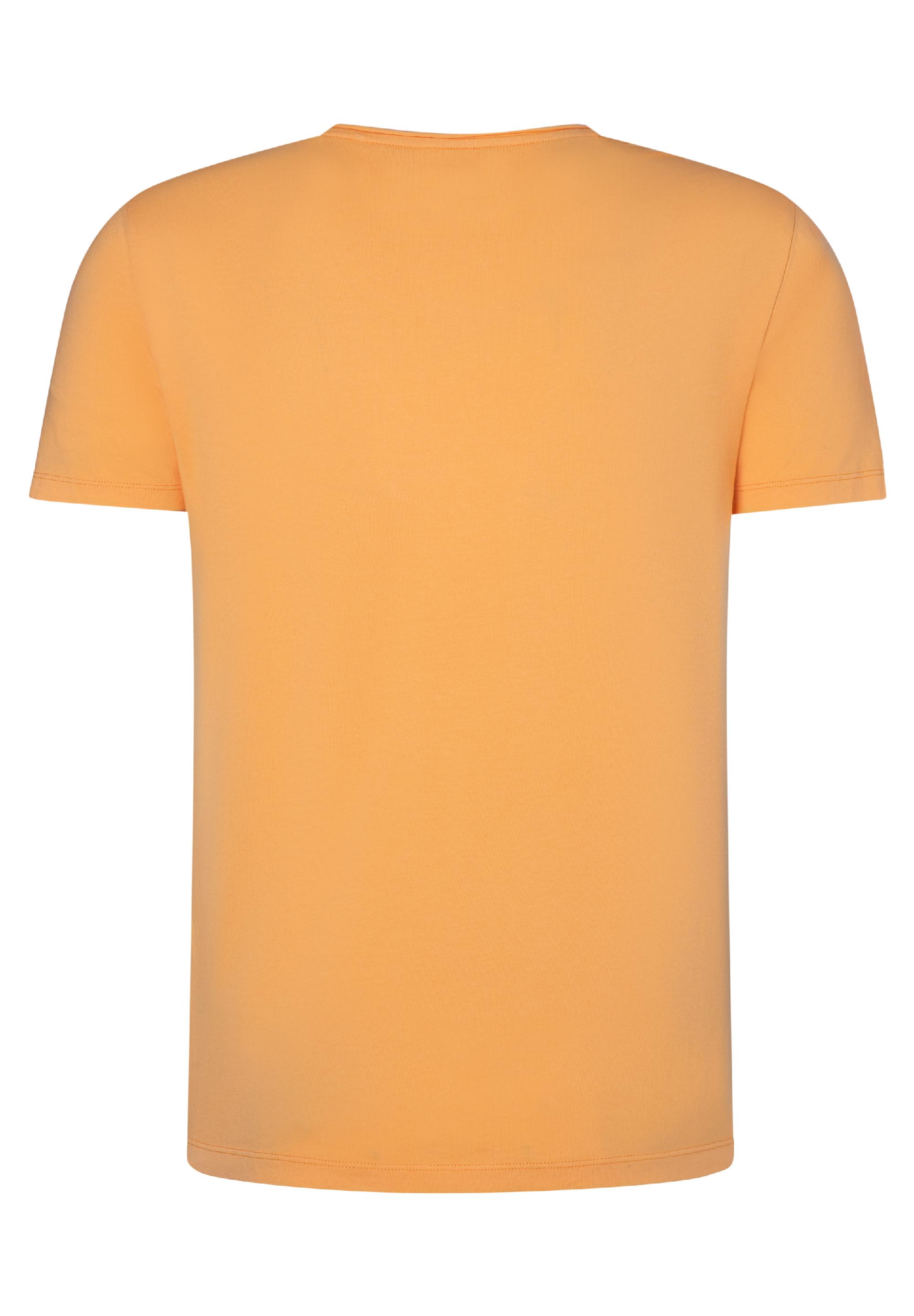 Garment Dye V T-Shirt